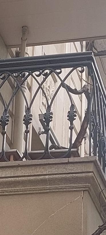 pencere dekor: Pəncərələr üçün qızılı rəngdə, dəmir barmaqlıqlar. Dekorativ — 9