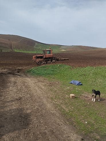 yto 554 traktor: Texnika tam ideal vəziyyətdədir buldozer ve kotan qarißiq satilir — 3