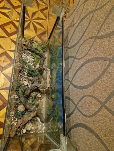 canlı yem: Şüşə terrarium/akvarium - Material: qalın şüşə, metal/plastik künc — 3