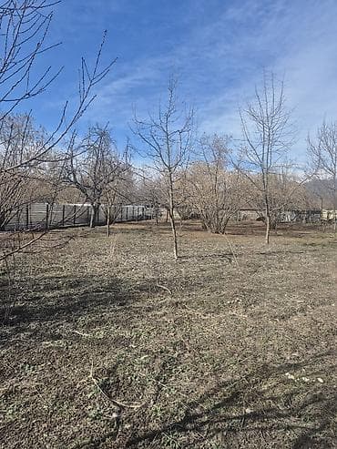 13 sot, Biznes üçün, Kupça (Çıxarış)