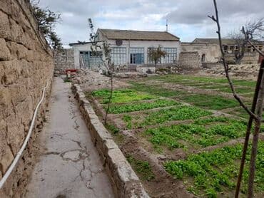 ferma torpaq: 6 sot, Makler, Bələdiyyə — 2