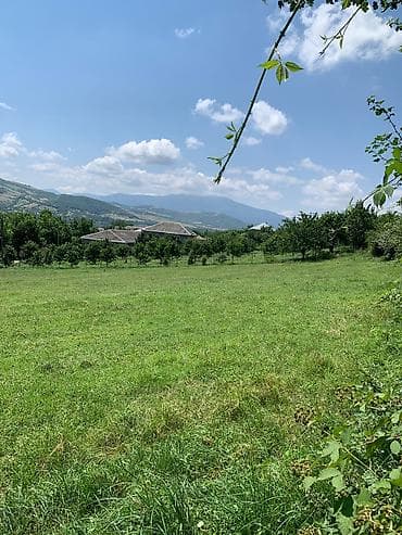 bakıda torpaq: 8 sot, Kənd təsərrüfatı, Mülkiyyətçi, Kupça (Çıxarış) — 2