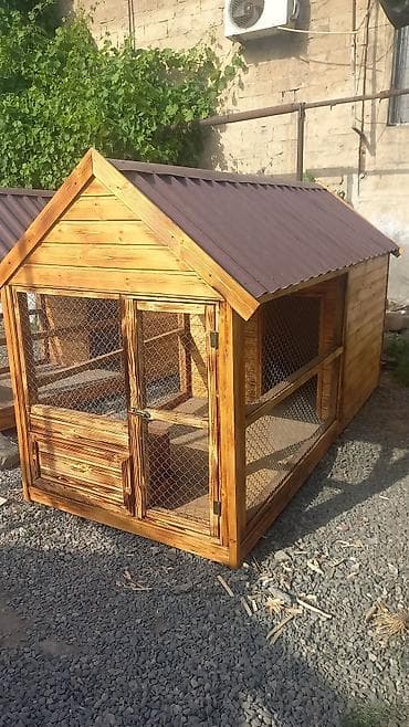 Yemlər: Darvazabazari.az oz mehsullarin teqdim Edir Diqqetle Oxuyum Bu — 5