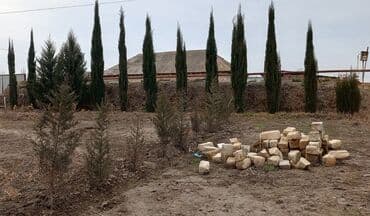 Məişət məhsulları: Isdeyen olsa yaza zəng edə bilər quluq olunmuş agacdikar — 1