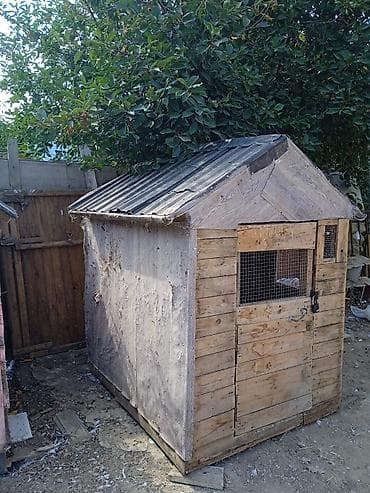 Yuvalar: Taxta göyərçinxana / quş yuvası - Material: tamamilə taxtadan — 3