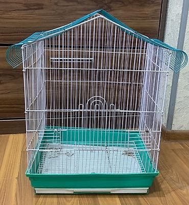 Korella hazır cütdü. En son keçen il bala almışam. Ondan sonra yuvanı — 8