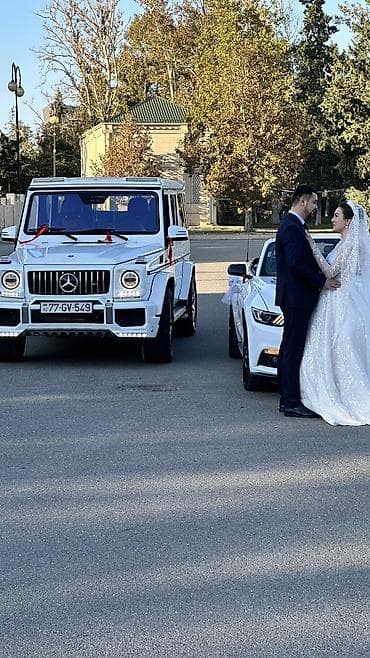 qaz plitələrinin təmiri: Günlük, Mercedes — 3