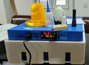 bütün kateqoriyalar: Inkubator inkubatorlarin birinci əl satişi unversal inkubator 64 — 1