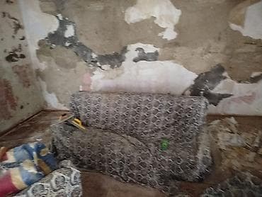 gence ev: 48 kv. m, 1 otaqlı, İşıq — 7