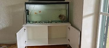 akvarium sumqayit: Akvarium və şkaf dəsti Akvarium: - Ölçülər: uzunluq 1 metr, hündürlük — 3