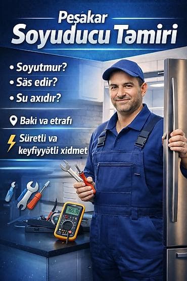 Peşəkar Soyuducu Təmiri xidməti - Problemlər: soyutmur, səs edir, su