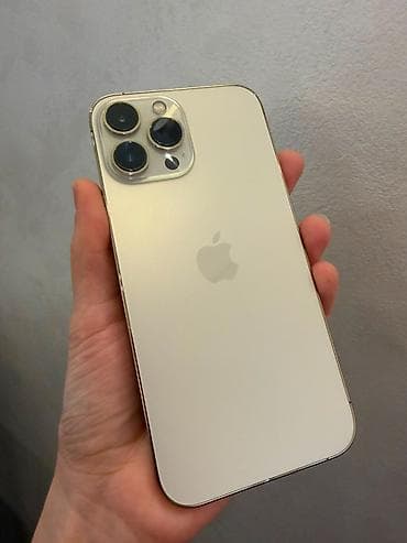 apple watch 1: IPhone 13 Pro Max, 128 GB, Qızılı, Face ID — 1