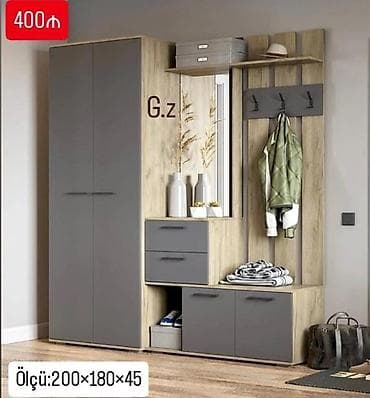 Düz dolab, Dəhliz üçün, Açılan, Quraşdırıla bilən, 2 qapılı