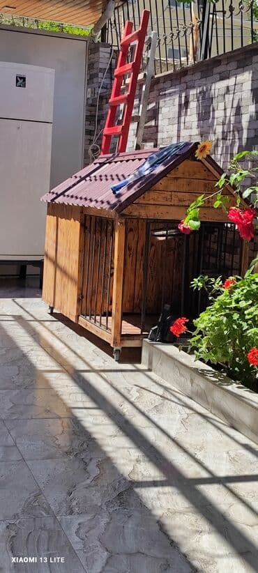 goyərcin yuvaları: Ölçüsü 2x1, it üçün yuva, boş boş adamlar narahat eləməsin zəhmət — 4