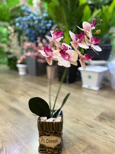 bitki toxumlari: Depodan bir basa satis 70azn baslayan dekarativ suni agaclar topdan — 13