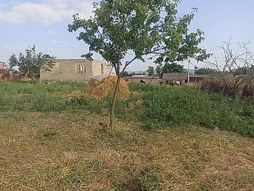 ev: 3 otaqlı, 100 kv. m, Kredit yoxdur, Təmirsiz — 3