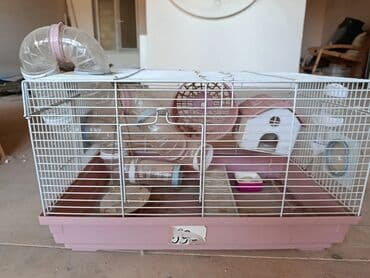 купить клетку для морской свинки: Xəzərtikanlı/siçan kimi kiçik kemiricilər üçün tam dəst qəfəs — 6