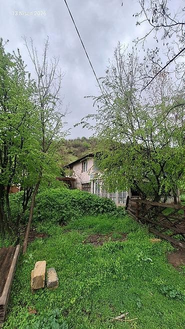 əmircanda ev: Dağ ətəyində yerləşən FERMA 2 hektar erazi iribuynuzlu ve — 1