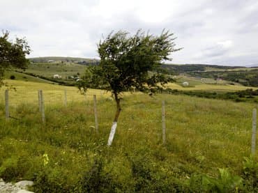 ersag com az: 300 соток, Для сельского хозяйства, Собственник — 5