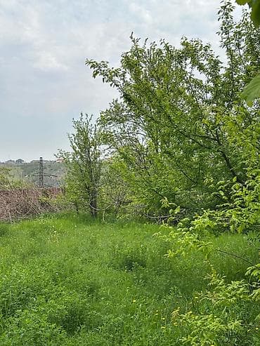32 sot, Tikinti, Mülkiyyətçi, Kupça (Çıxarış) lalafo.az -da 32 sot, Tikinti, Mülkiyyətçi, Kupça (Çıxarış)