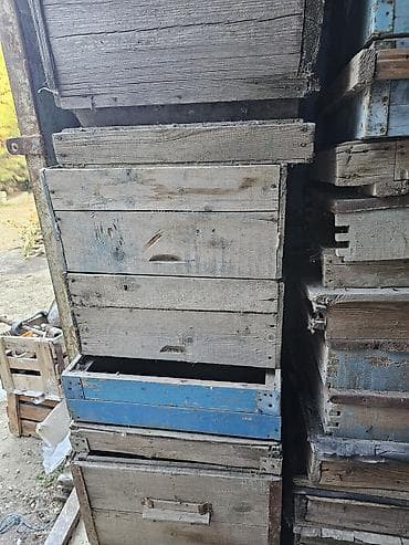 Arılar: Arı yeşikləri və künc dəmirləri satılır
Qiymet danisiq esasinda — 8