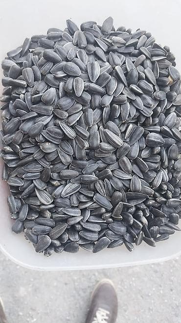 donuz əti satılır: Toxumluq Əla növ - Növ: Günəbaxan tumu (qara qabıqlı) - Tərkib — 1