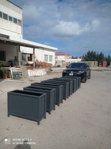 Digər bitkilər: Dipcek Bir başa sexdən.Sex qiymətinə. Hazırlar var. Payız endirimi — 2