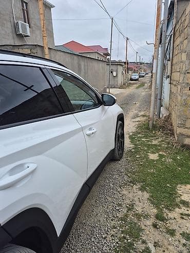 Квартиры: 3 соток, Купчая — 7