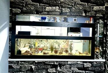 продажа аквариумных рыбок: 1.83 sm  Uzunluq 50.5 sm  Hündürlük 23.5 sm   Eni Şüsə qalınğı. 8mm — 1