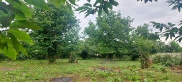 fatmayı torpaq: 11 sot, Tikinti, Maklerlər narahat etməsin, Kupça (Çıxarış) — 1