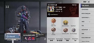 PUBG Mobile hesabı – zəngin kolleksiya və rütbə göstəriciləri - UID