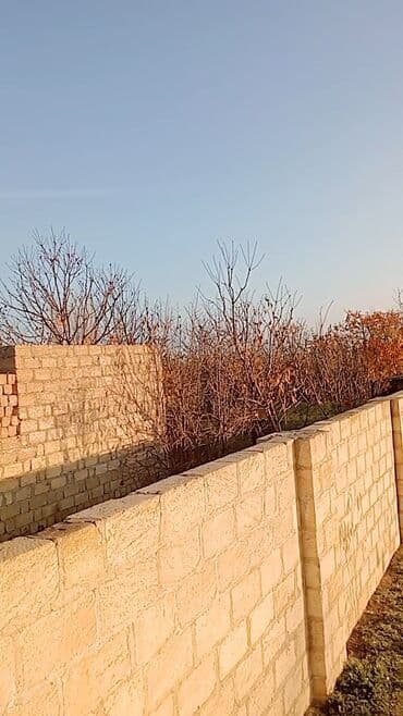 qobuda torpaq satilir 2020: 6 sot, Kənd təsərrüfatı, Makler, Kupça (Çıxarış) — 5