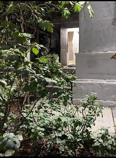 yeni ramanada ev: Həyətyanı sahəsi olan kiçik ev - Həyətdə şaquli dayaqlı — 3