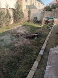 1 hektar nece sot: 3 sot, Tikinti, Mülkiyyətçi, Kupça (Çıxarış) — 13