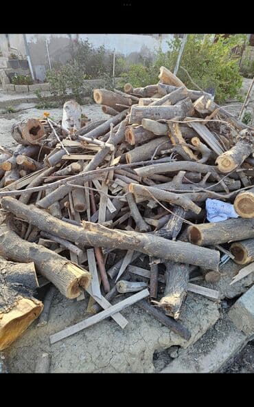 натяжные потолки в баку цена: Qışlıq odun — 2