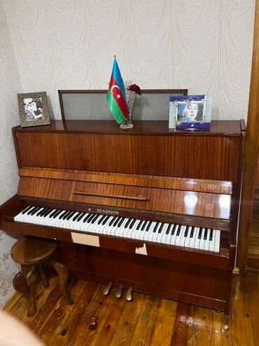 Gitaralar: Piano, Belarus, Akustik — 2