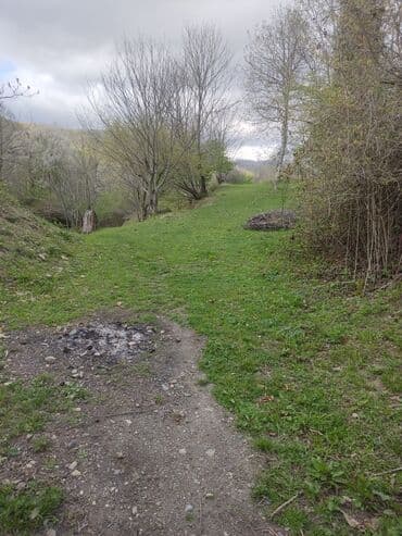 cennet park musfiq qesebesi: Satılır: təbiət qoynunda yaşıllıqla əhatələnmiş torpaq sahəsi — 7