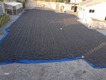 Yarmalar və paxlalar: Günəbaxan Tumları satılır 70-80 faizlidi Əlaqə⬇️ 🔹️050-342-64-30 — 4