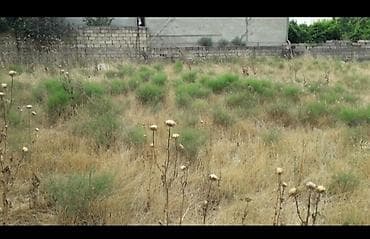 Дачи: 6 соток — 2