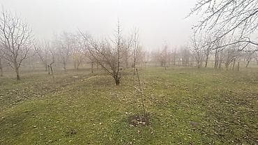 şəkidə torpaq satılır: 15 sot, Tikinti, Mülkiyyətçi, Kupça (Çıxarış) — 9