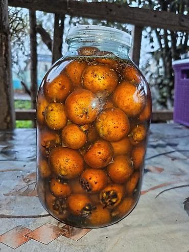 Təbii ev konservləri və bal - Qabıqlı narıncı meyvələrdən hazırlanmış lalafo.az -da Təbii ev konservləri və bal - Qabıqlı narıncı meyvələrdən hazırlanmış