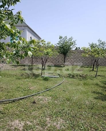 bakı qusar avtobus: 12 sot, Kənd təsərrüfatı, Barter mümkündür, Kupça (Çıxarış) — 5