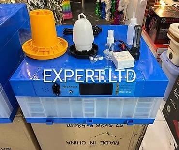 İnkubatorlar: Çin, Tam avtomat, Bütün növ quşlaq üçün, Zəmanət ilə — 4