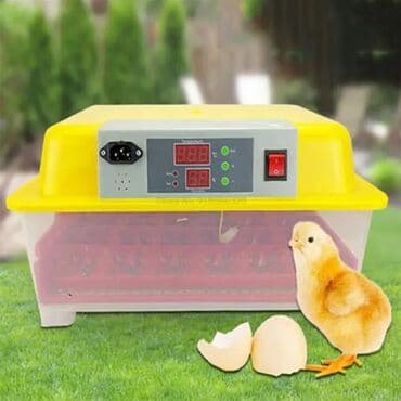 sud şağan aparat: Inkubatorlarin birinci əl satişi unversal inkubator inkubator 196 — 3