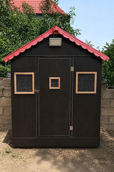 quş yuvası düzəltmək: Satılır quş damı Qara playwood materialdan yığılıb, keyfiyyətli və — 2