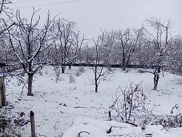 binede kreditle torpaq: 12 sot, Tikinti, Makler, Müqavilə — 9