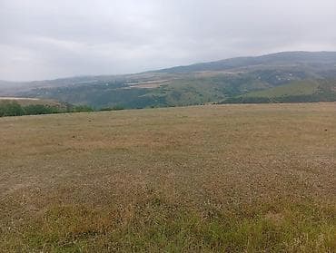 bina az şirvan: Kənd təsərrüfatı — 3