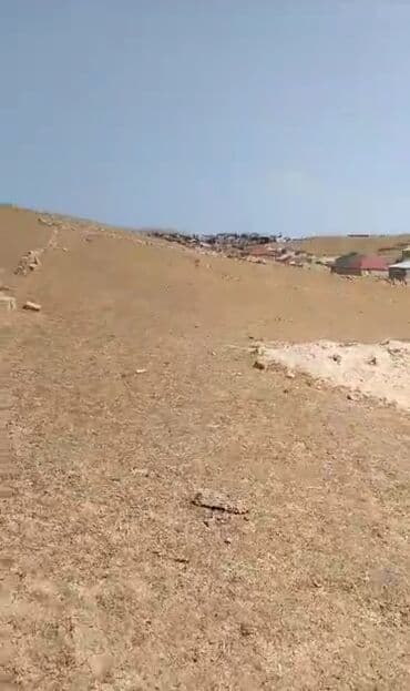 mx group inşaat: 8 sot, Tikinti, Mülkiyyətçi, Bələdiyyə — 2