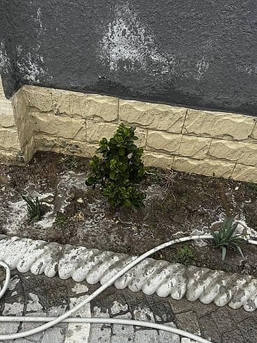 18 denedir Biri 7 manatdan verilir real alici elaqe saxlasin