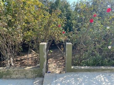 дешевые дачи в баку аренда: 7 комнат, 220 м², Нет кредита, Средний ремонт — 3